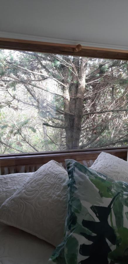 Eco Cabana Puerto Varas Exteriör bild