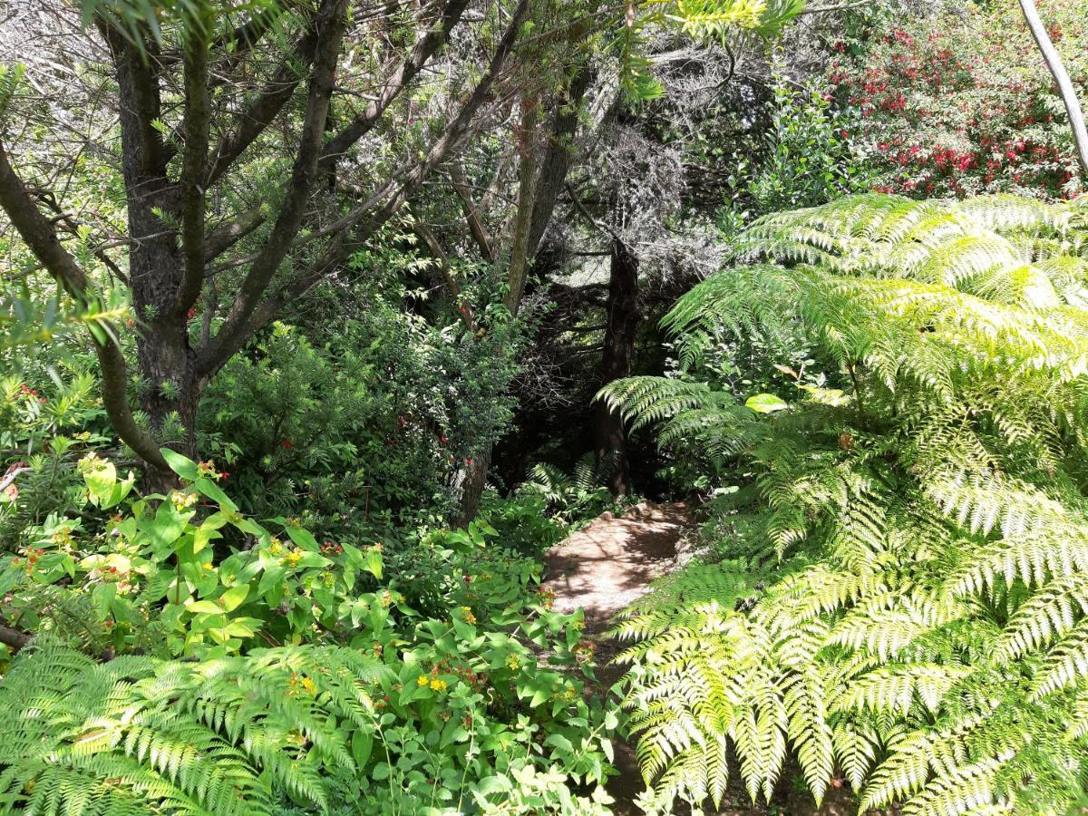 Eco Cabana Puerto Varas Exteriör bild